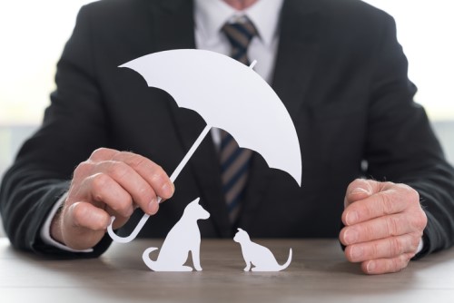 Pet insurance market set to double by 2022